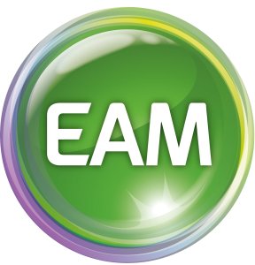 EAM GmbH & Co. KG Logo